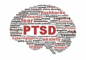 PTSD brain